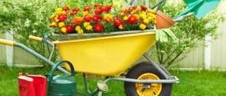Особенности и аксессуары садовых тележек