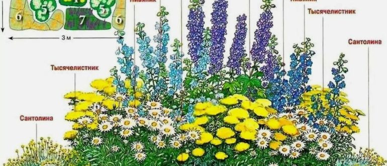 Клумбы непрерывного цветения: схема посадки для дачи выходного дня