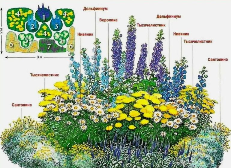 Клумбы непрерывного цветения: схема посадки для дачи выходного дня
