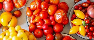 Старые сорта овощей против современных гибридов: что лучше выбирать для длительного хранения и засолки