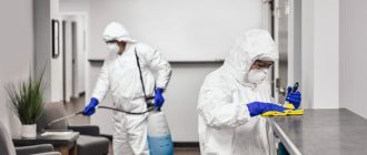 Центр дезинфекции или частный мастер: кому доверить обработку от насекомых